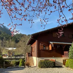 Appartement La Joly - Yap, Abondance